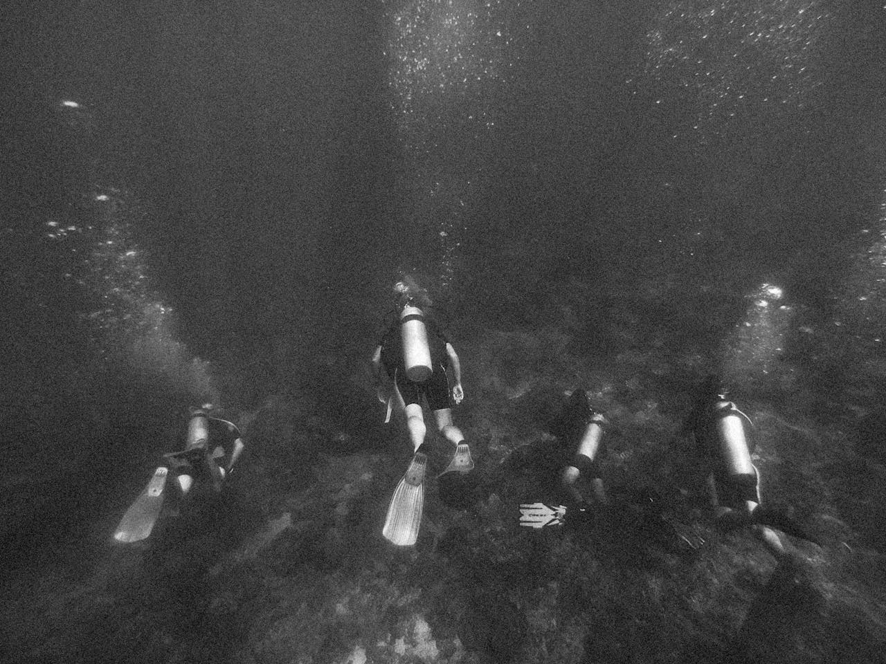 Monochrome image of scuba divers exploring the depths of the ocean.