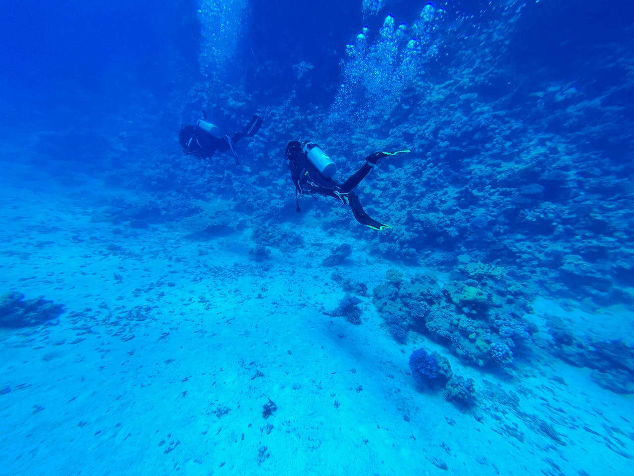 Two scuba divers explore a vibrant coral reef underwater, surrounded by marine life and bubbles.