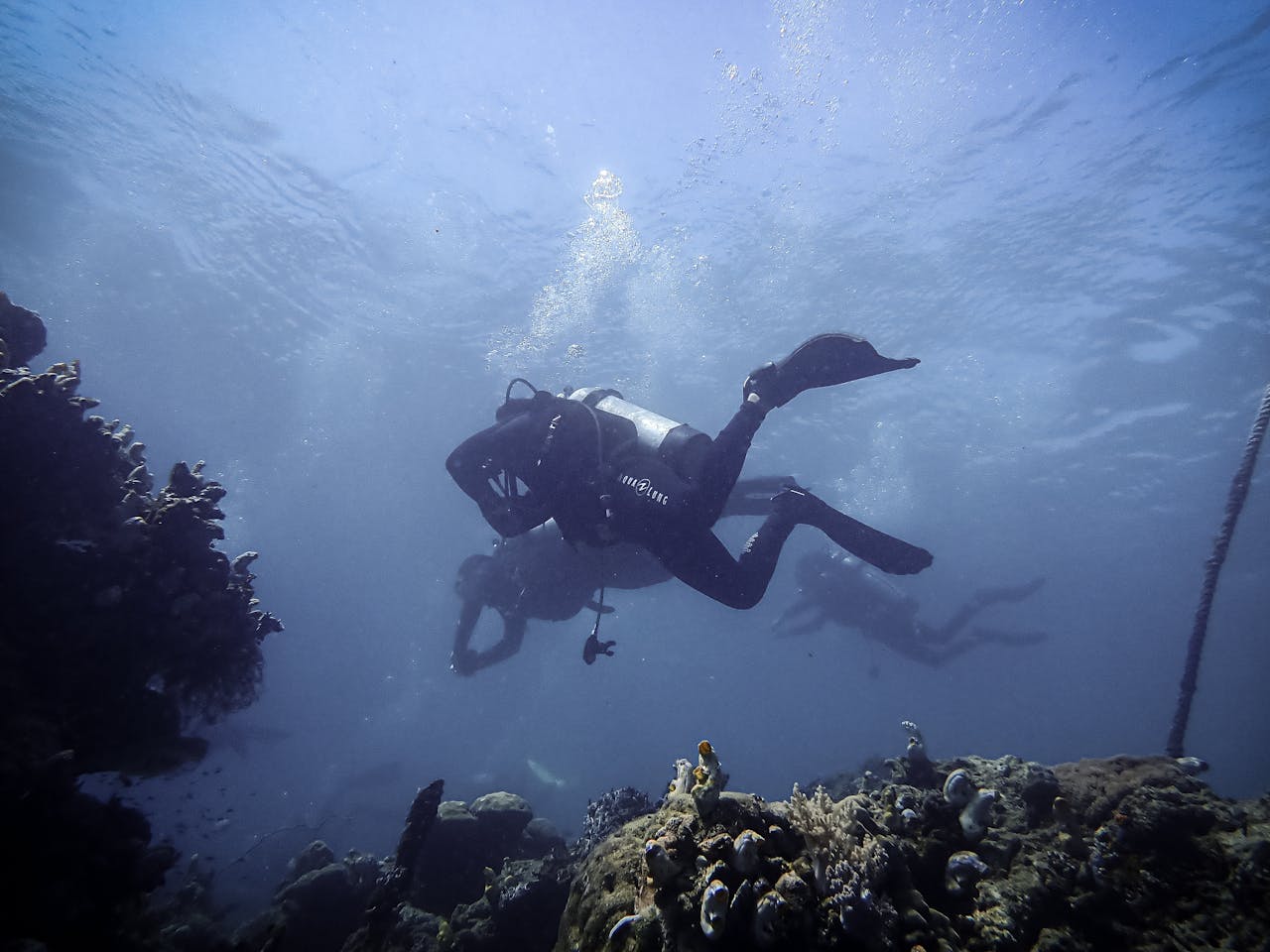 Group of scuba divers exploring vibrant coral reefs in Sulawesi Selatan, Indonesia.