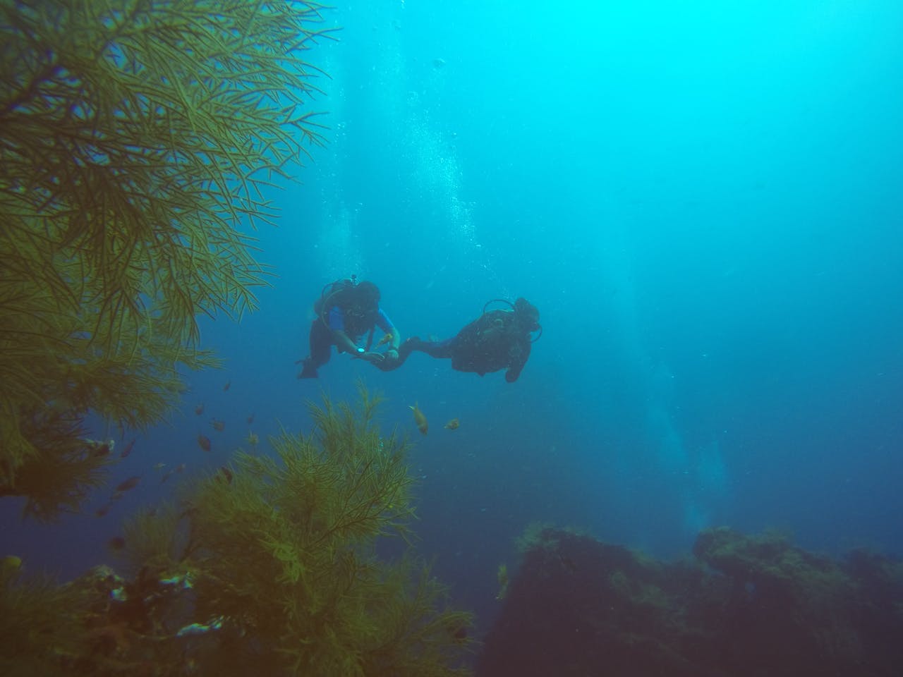 Two scuba divers exploring underwater scenery with marine life and coral.